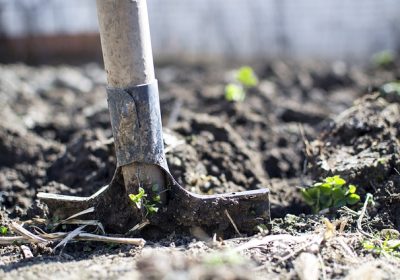 Préparez-vous pour le printemps : Comment préparer votre jardin pour la saison de croissance