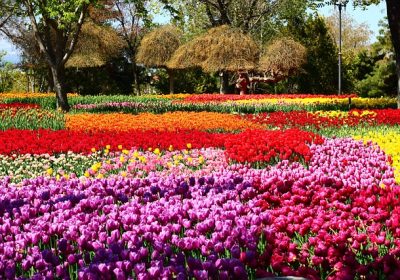 Tirez le meilleur parti de votre visite au salon du jardin